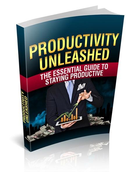 Productivity Unleashed eBook